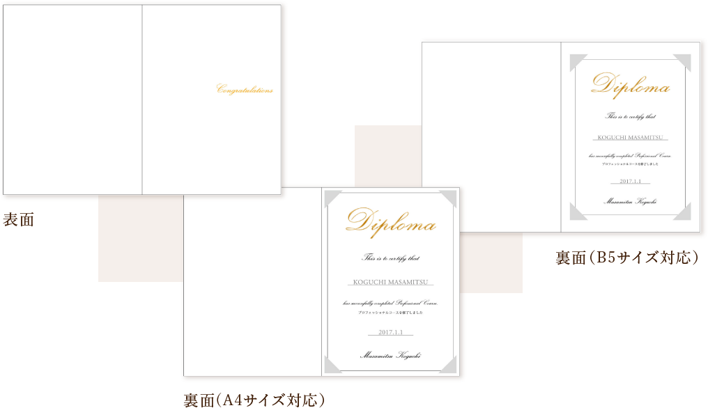 ディプロマケース